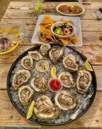 Fresh oysters are a delicacy in Louisiana