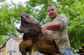 Prehistoric turtle in Natchitoches Parish