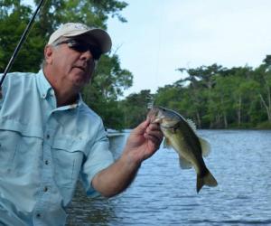 Annual Barber Sand Bass Tournament