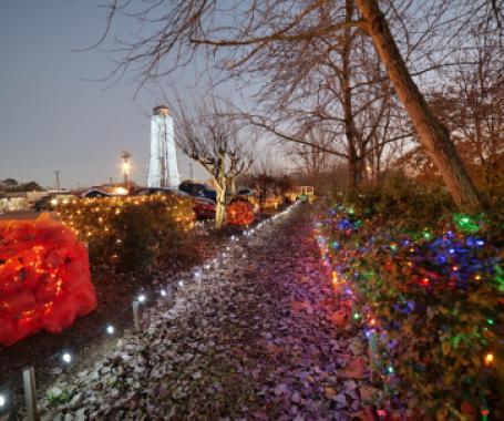 Logansport Christmas Festival